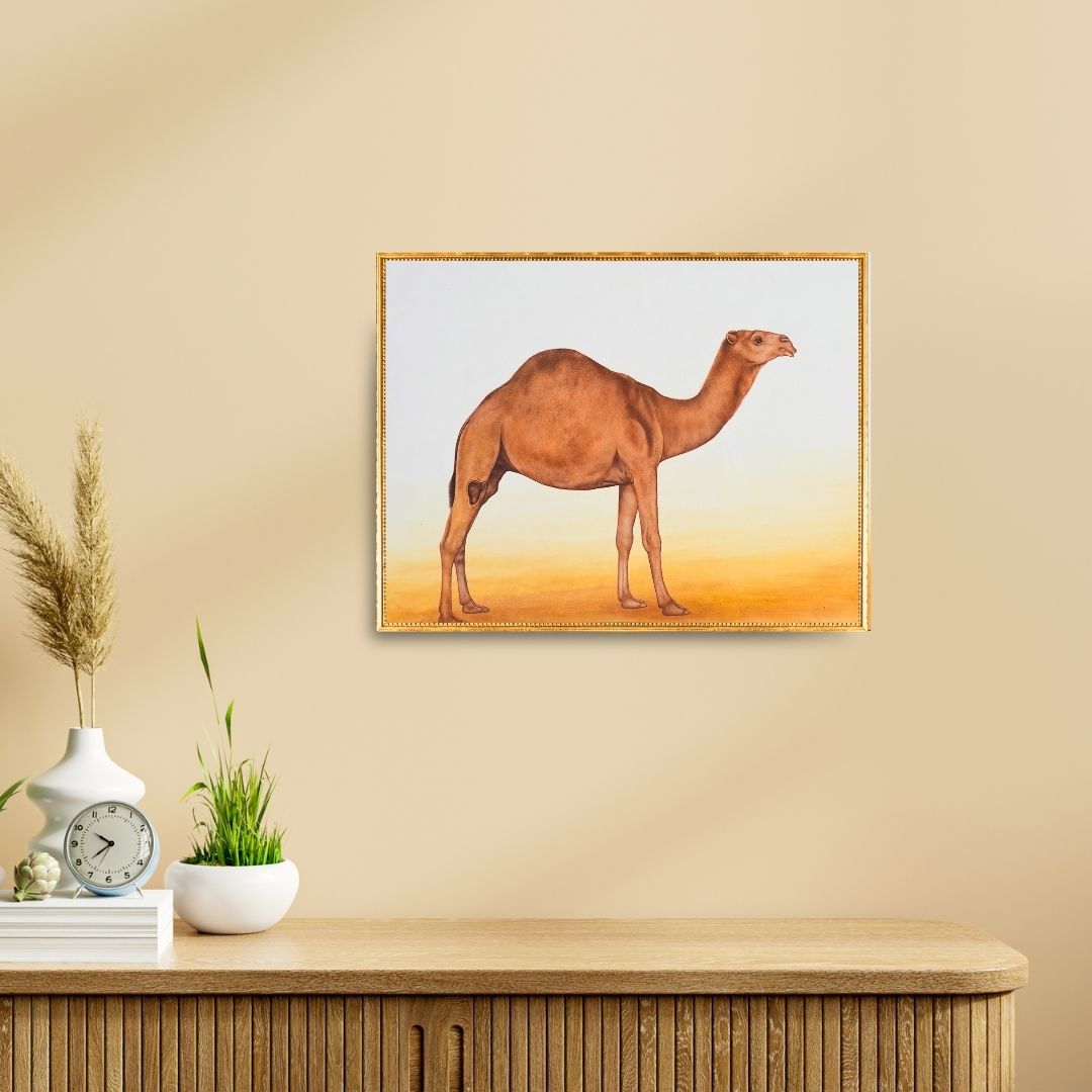 Sands of Serenity  Product Image