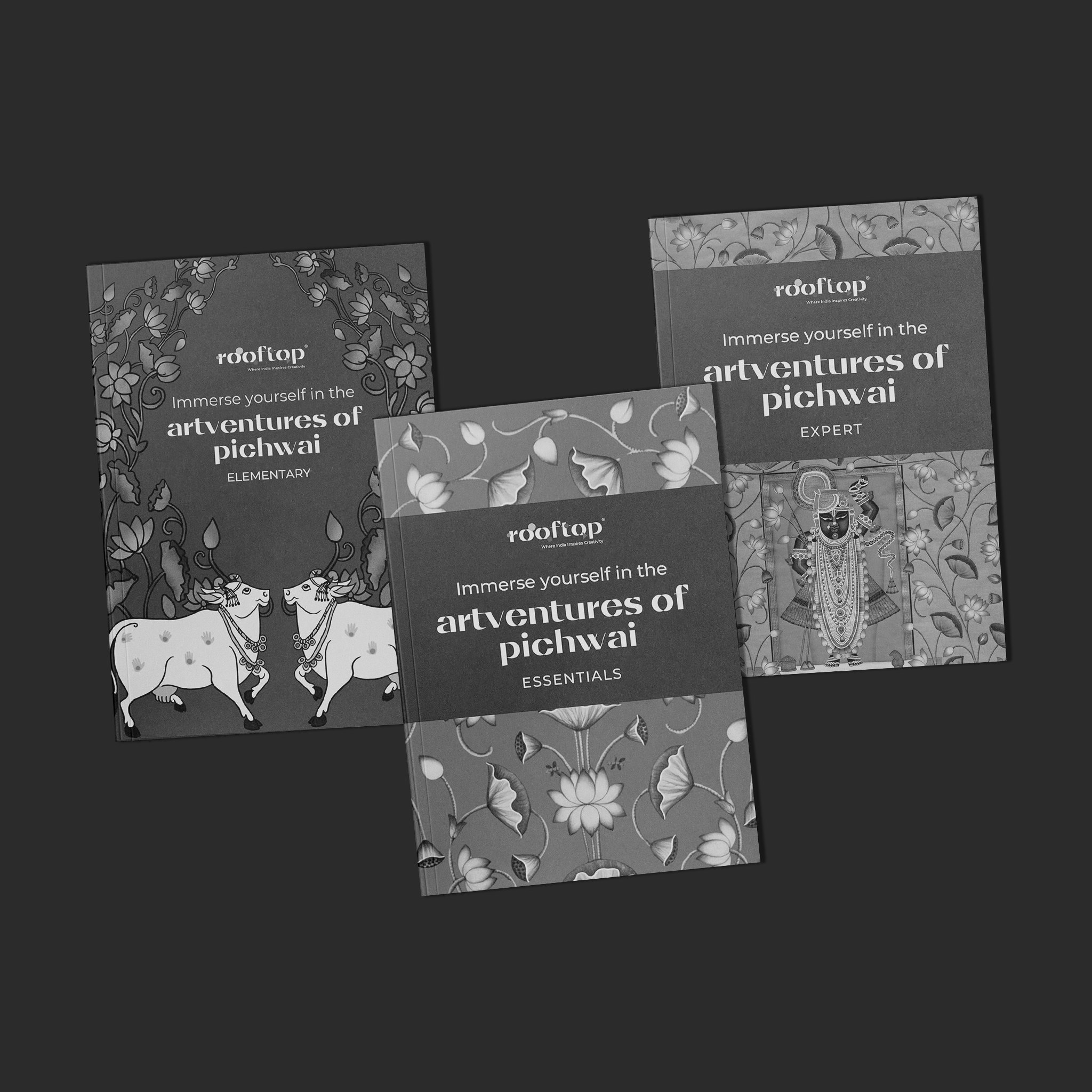 Artventures of Pichwai: The Complete Guide to Divine Art (Set of 3) Product Image