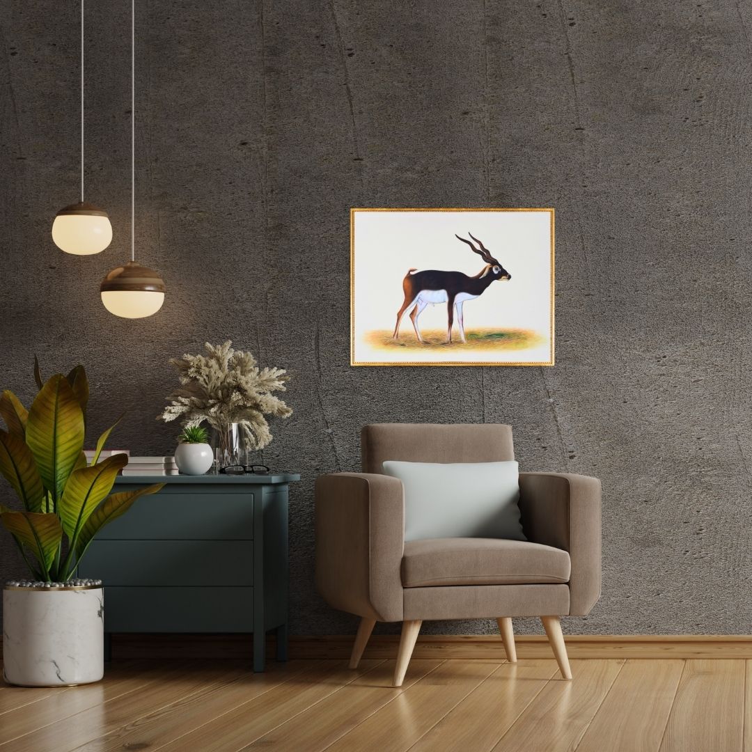 Poise of the Plains  Product Image