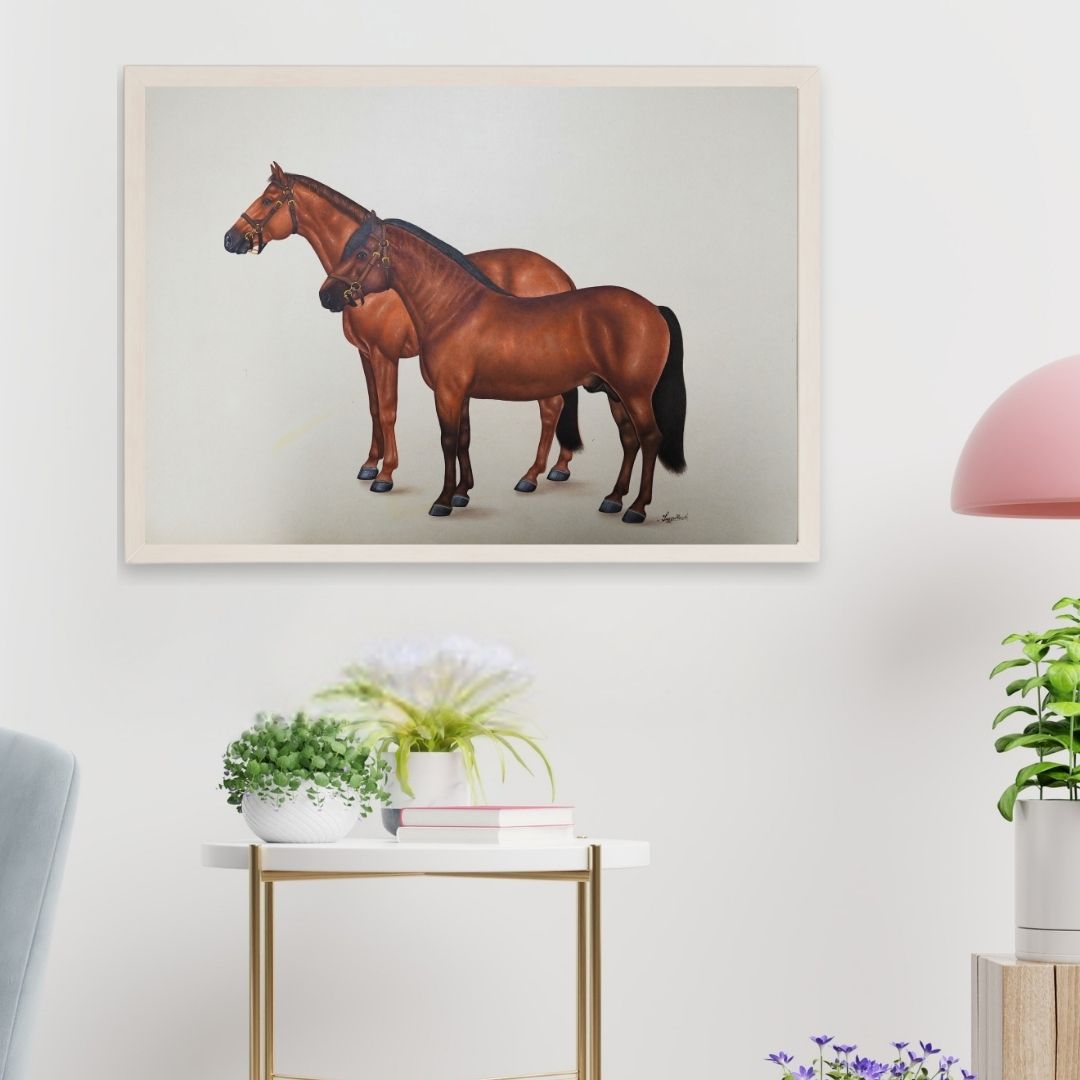 Equine Grace 