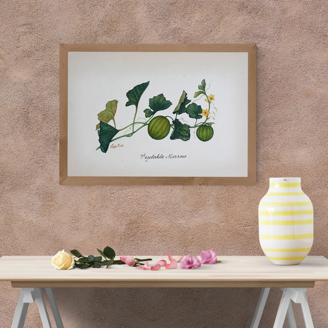 Marrow on the Vine