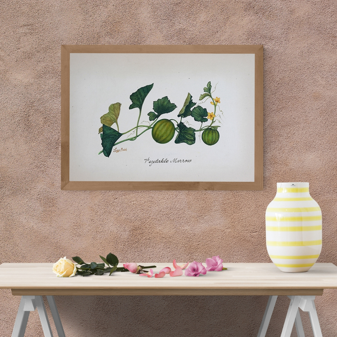 Marrow on the Vine