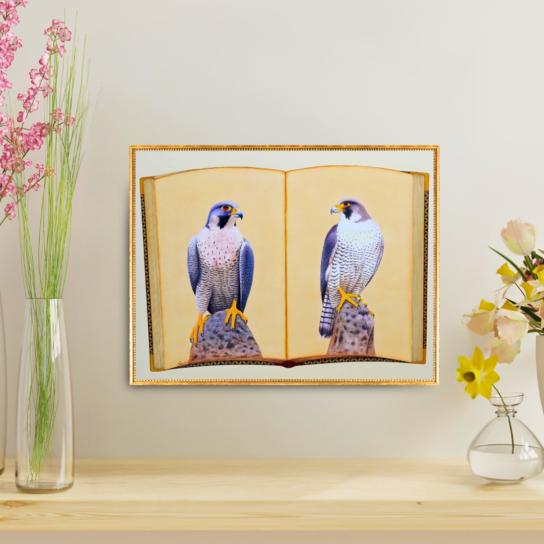 Falcon Folio - Edition 3