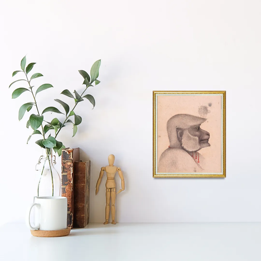 Profile of the Quiet Monkey