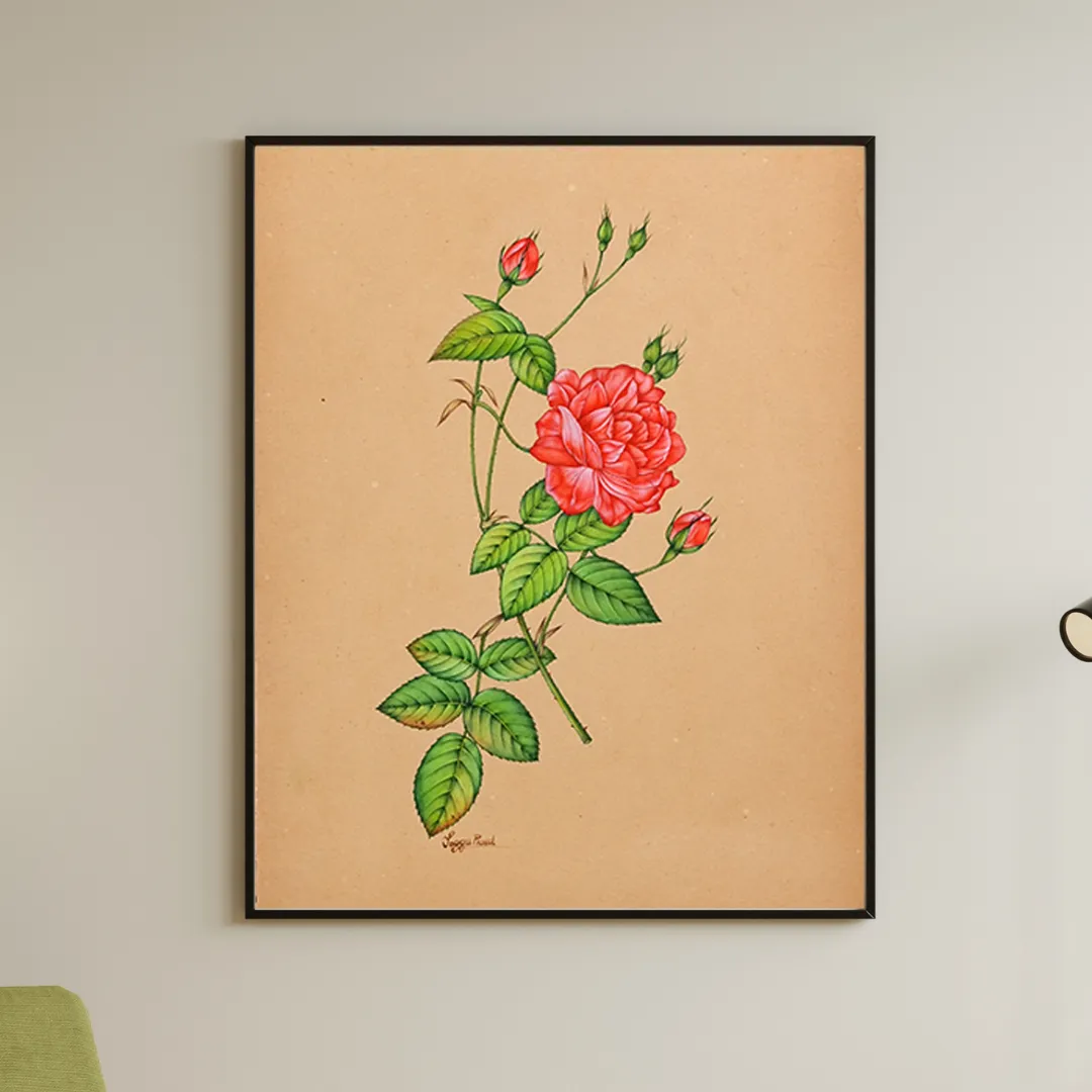 Red Garden Rose Study