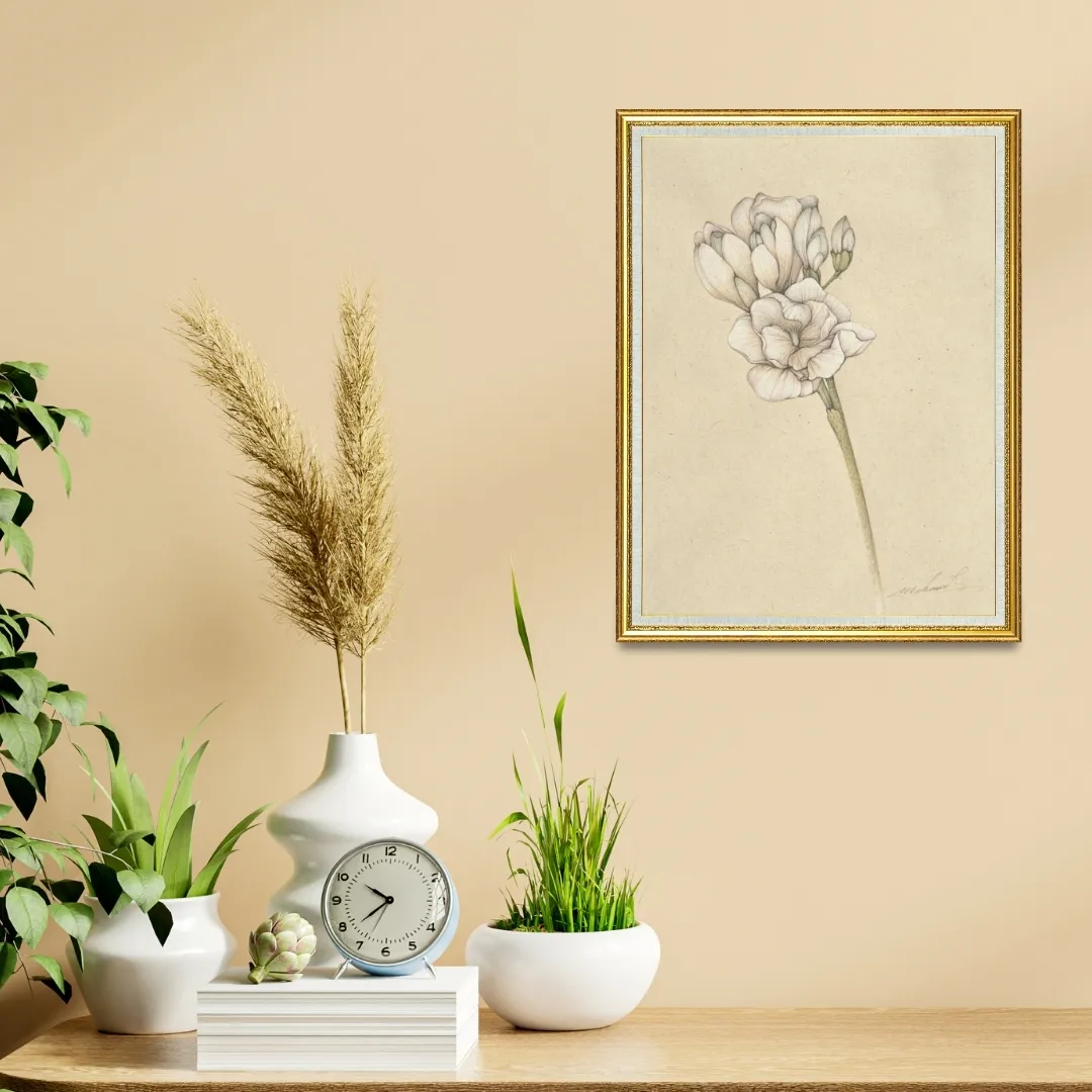 Freesia III