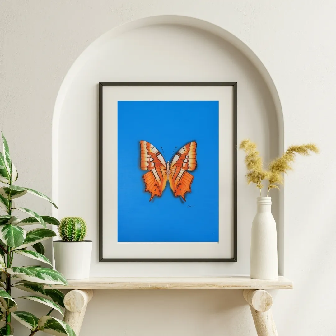 Amber Wings 