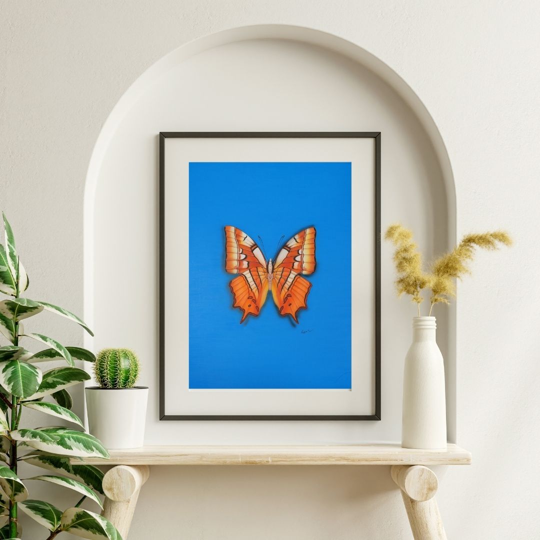 Amber Wings 