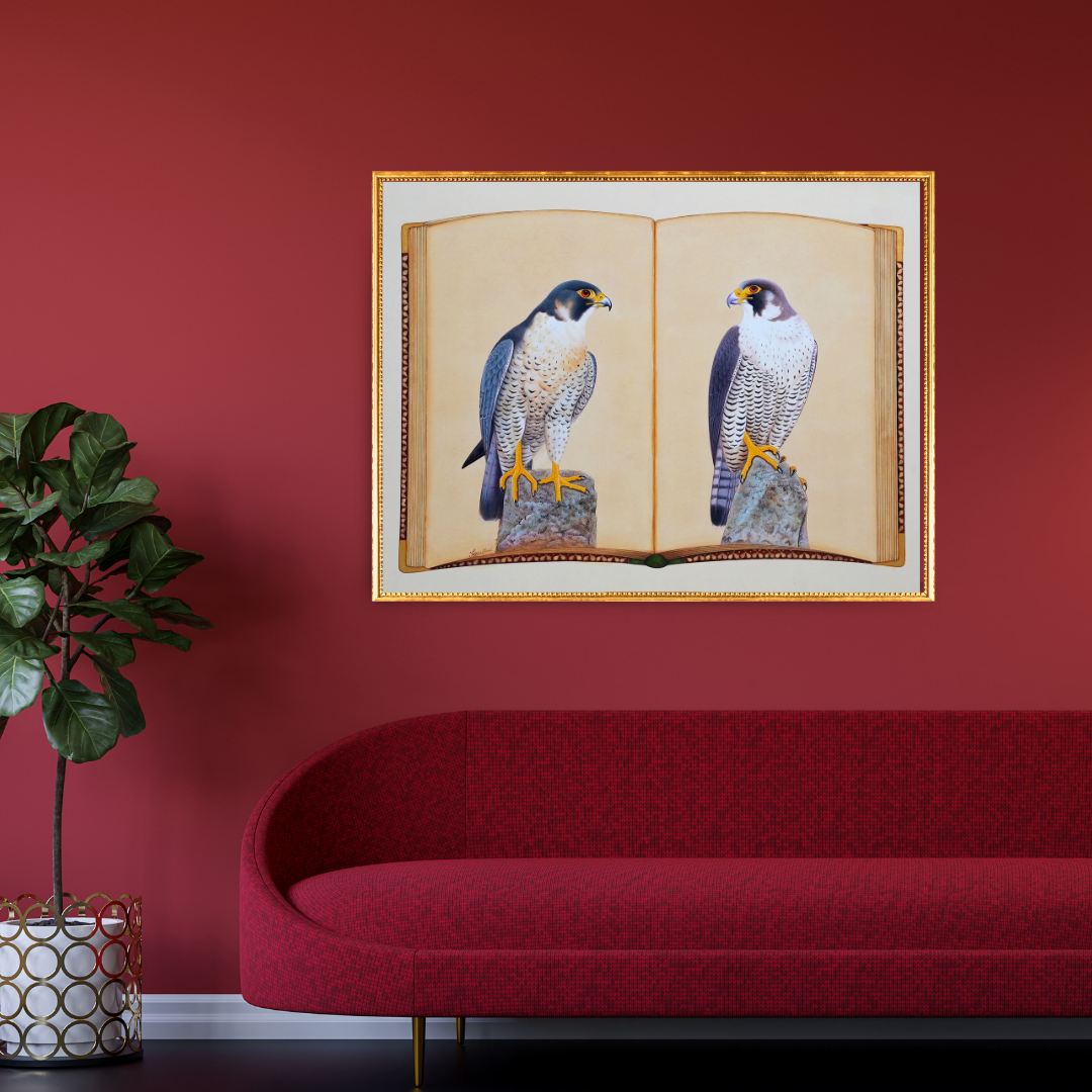 Falcon Folio - Edition 1