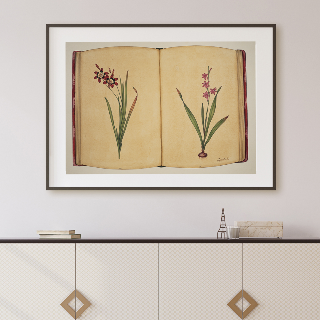 Botanical Ledger
