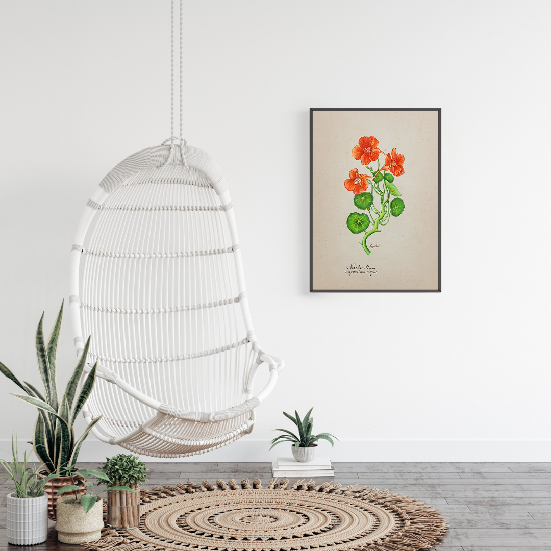 Nasturtium Drift