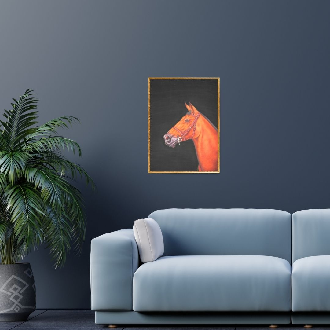 Equine Grace III