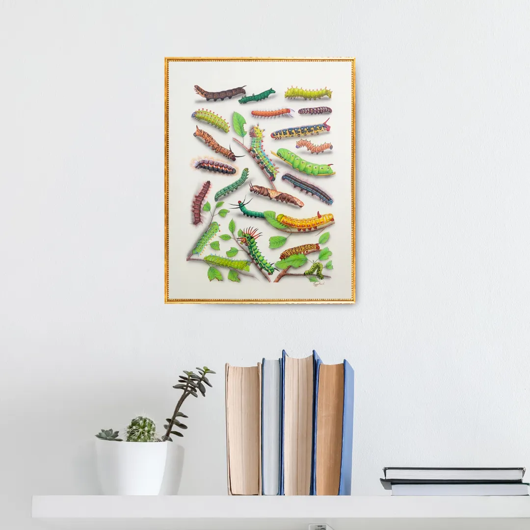 Patterns in Motion