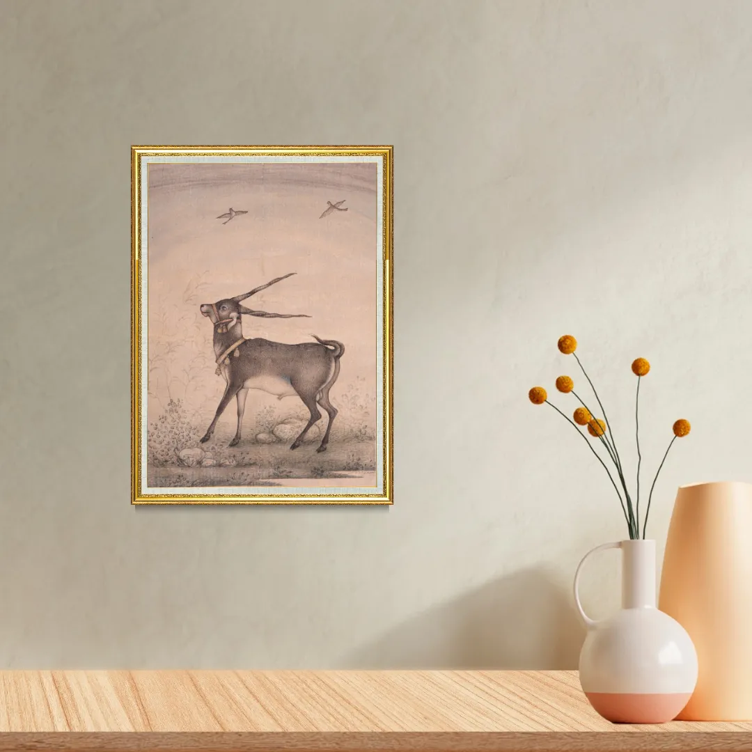 Graceful Step of the Blackbuck