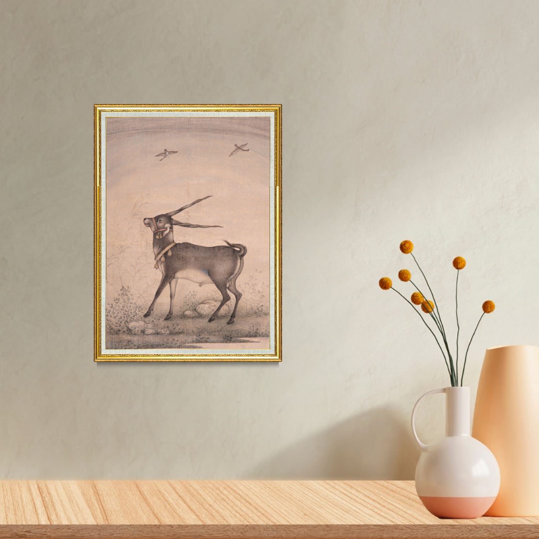 Graceful Step of the Blackbuck