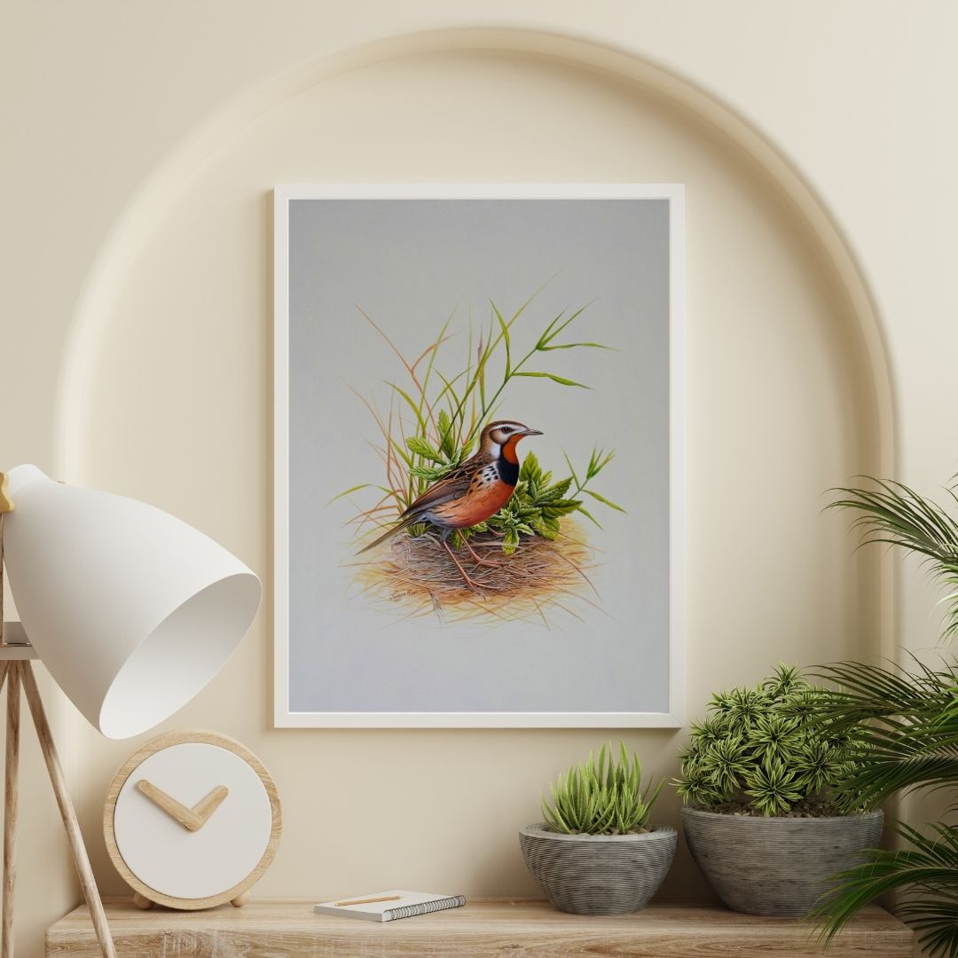 Field Nest 