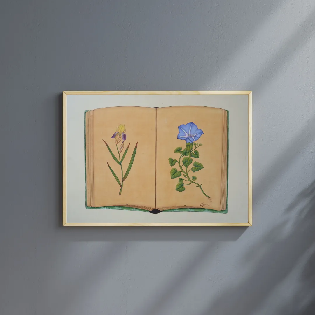 Botanical Compendium