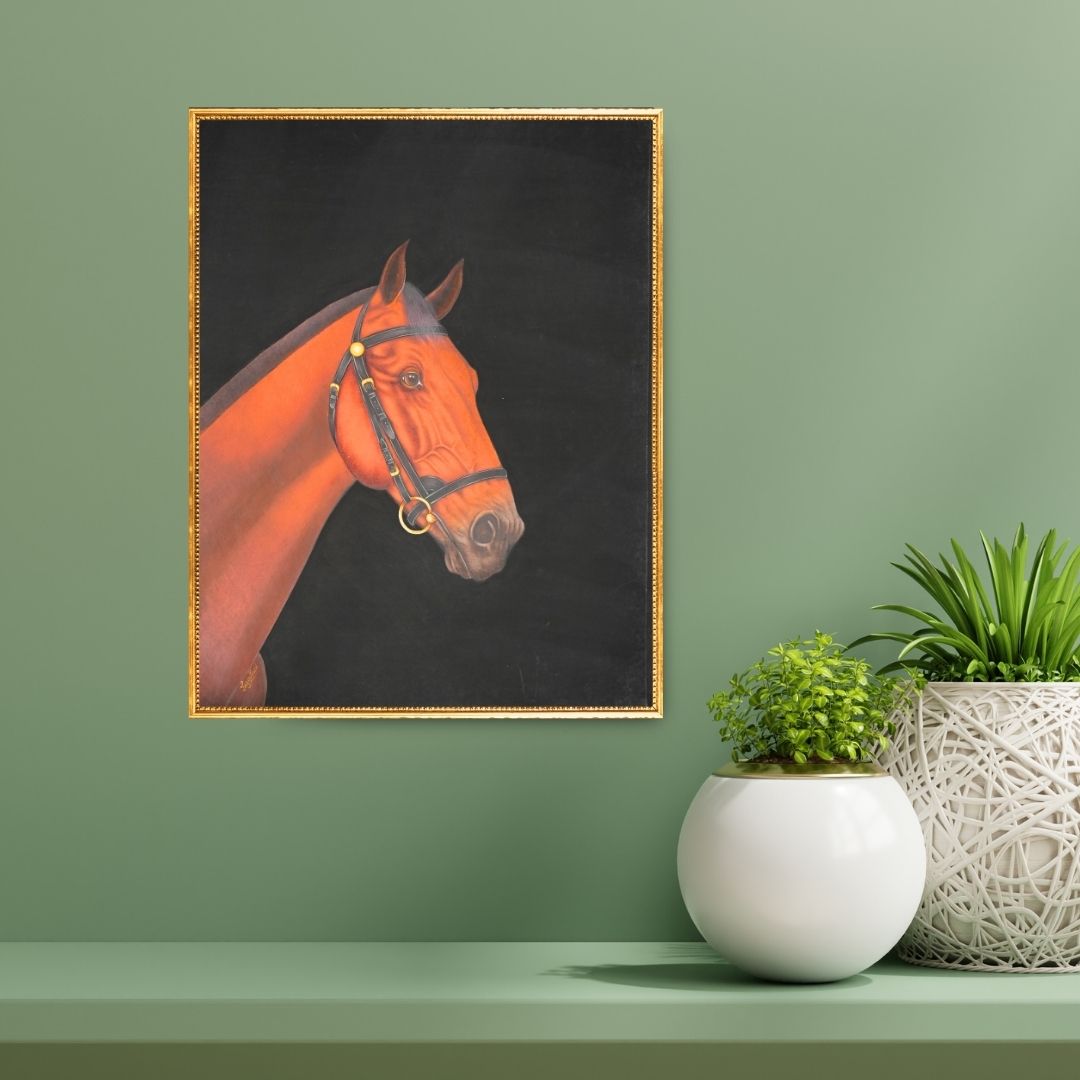 Equine Legacy 