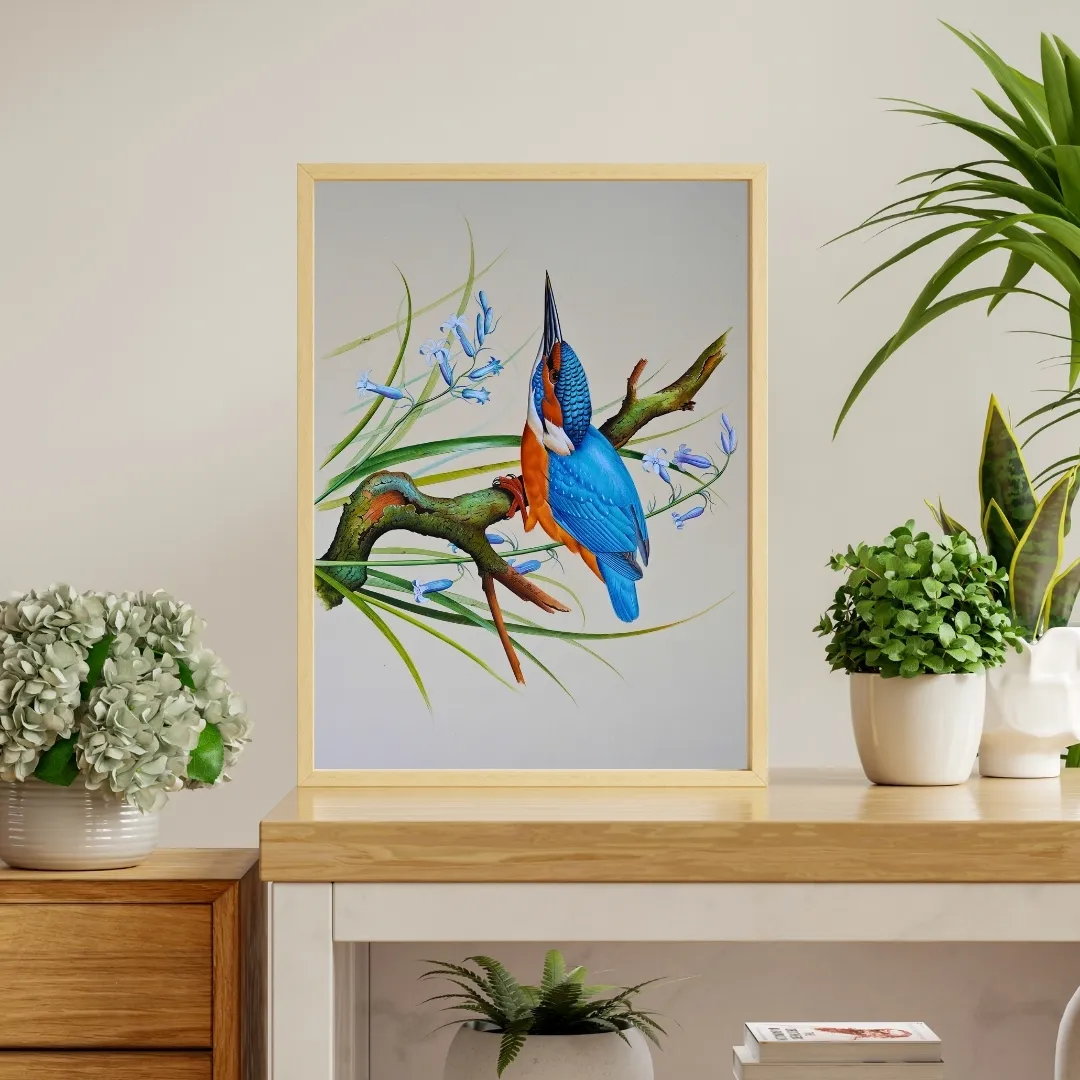 Azure Kingfisher 