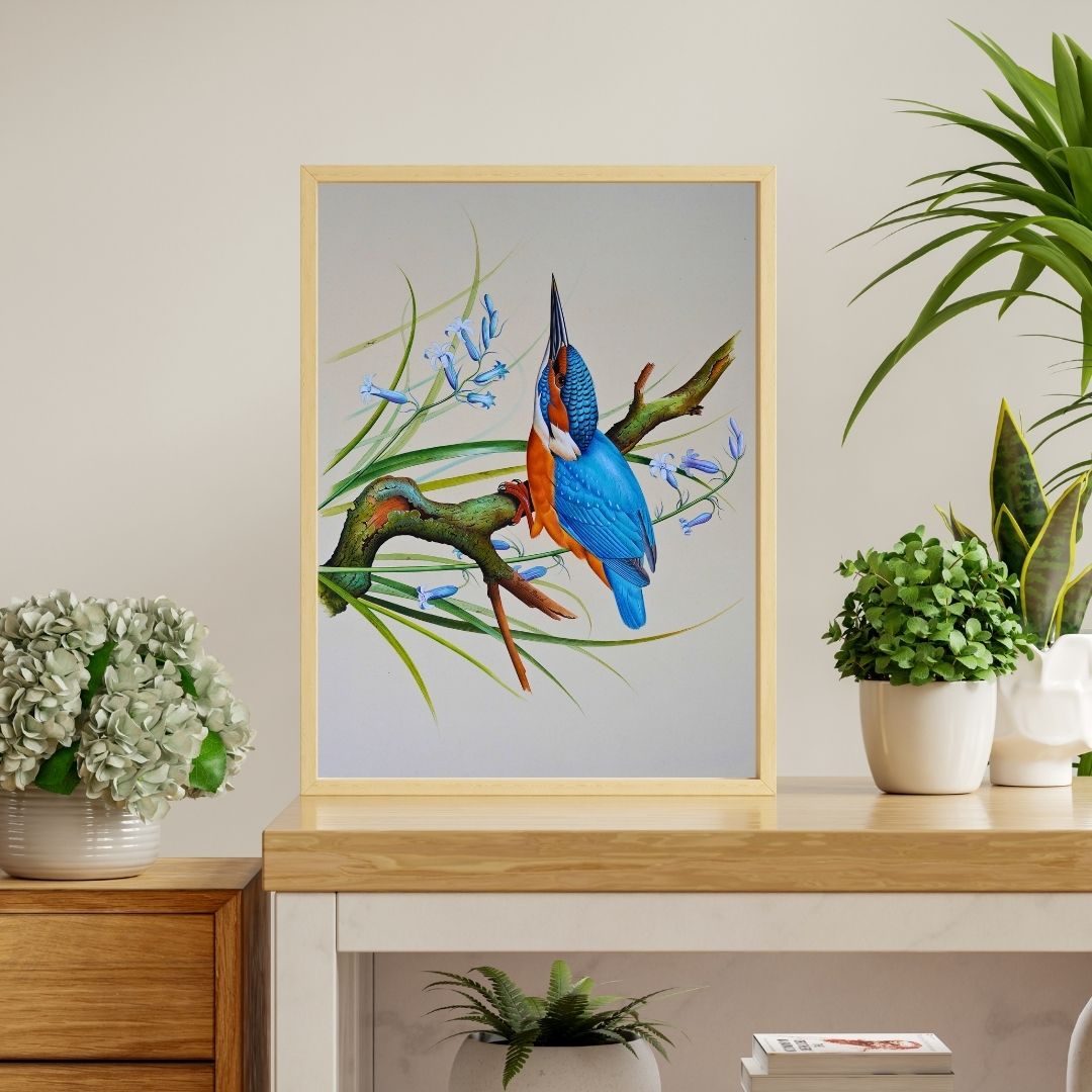 Azure Kingfisher 