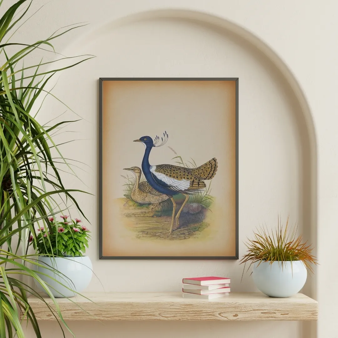 Lilac-breasted Roller Study