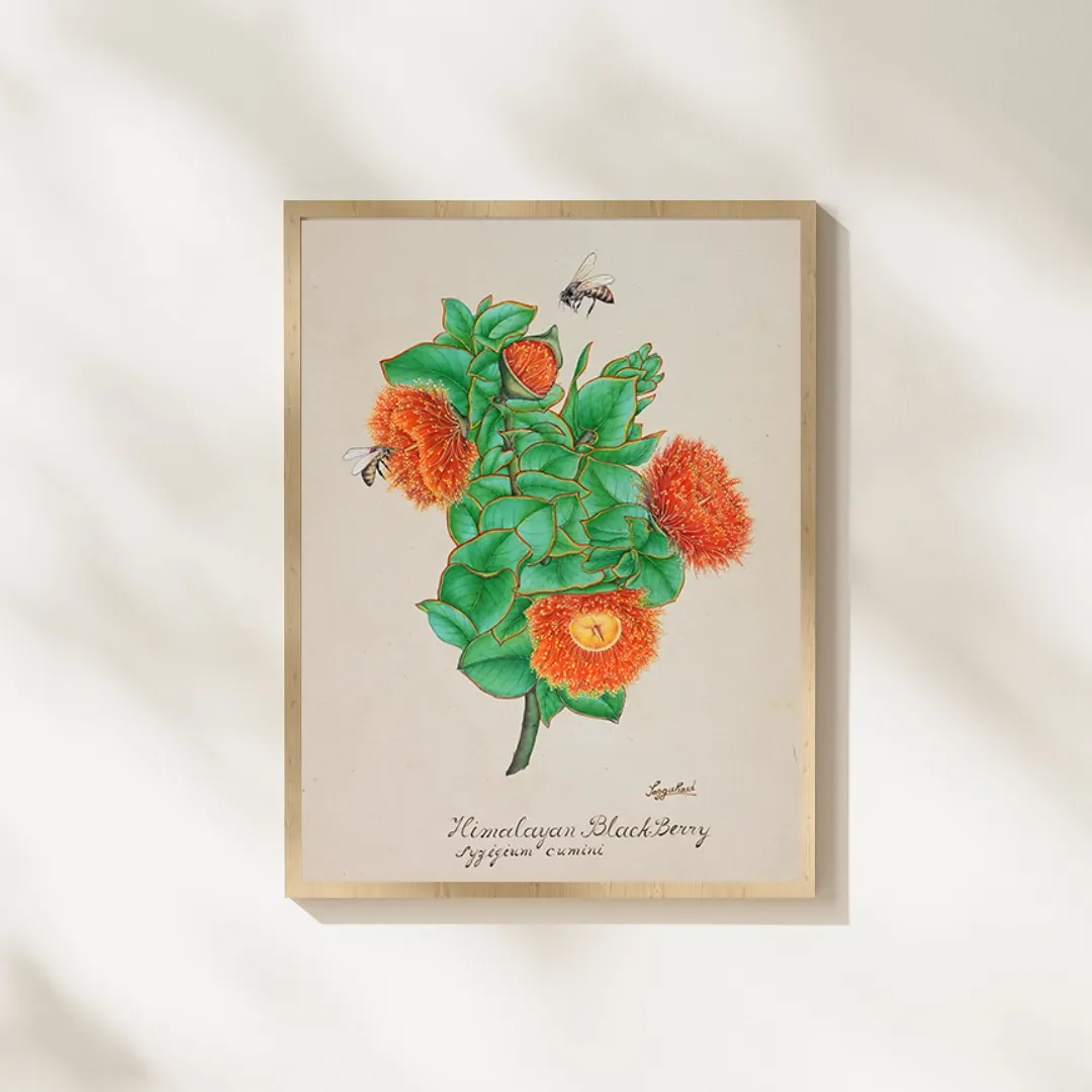 Himalayan Blackberry Cluster
