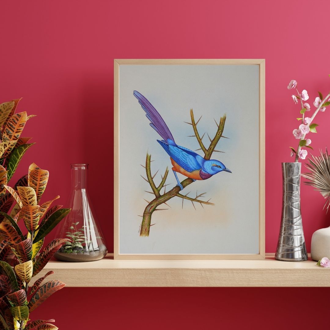 Blue Perch by Jaggu Prasad