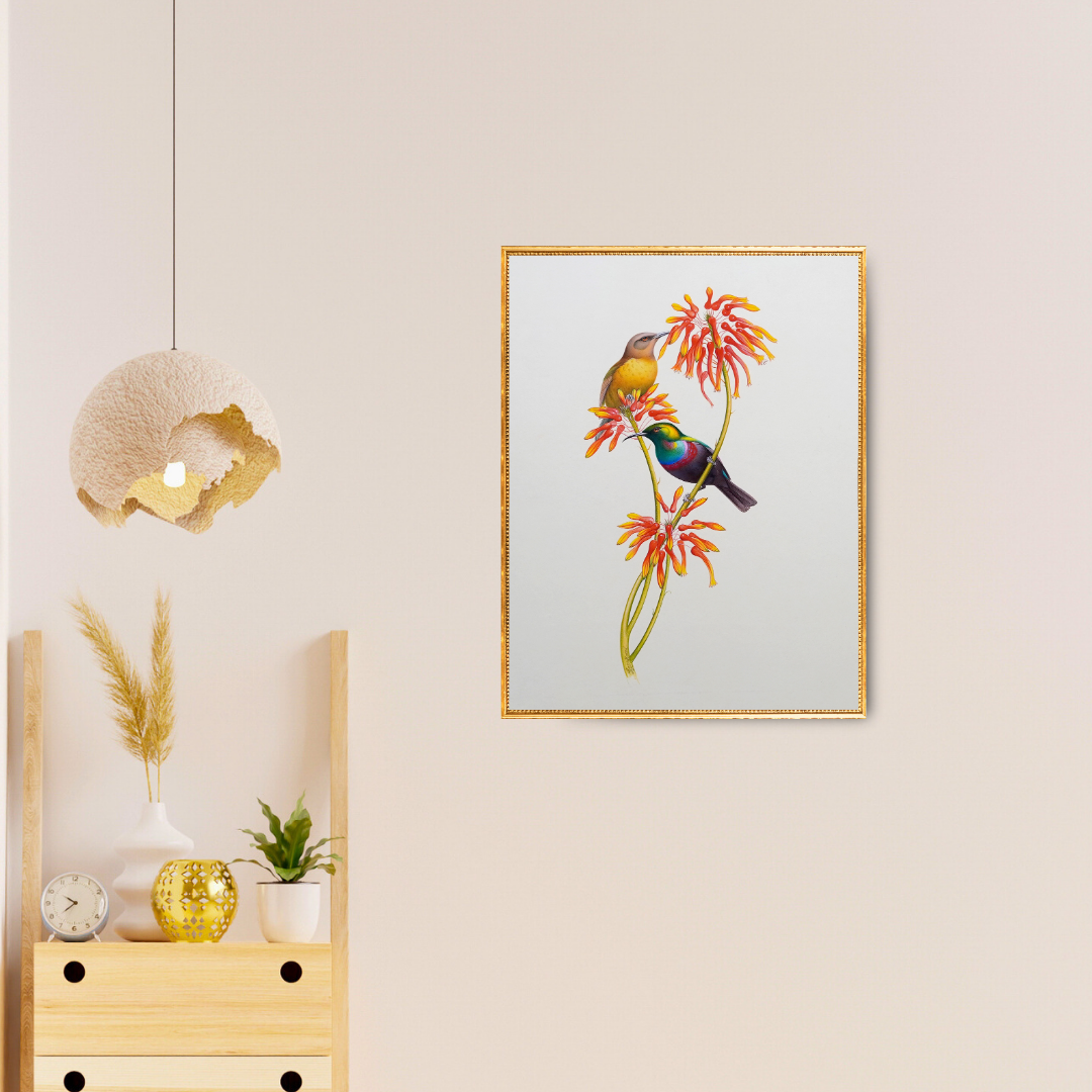 Hidden Haven Product Image