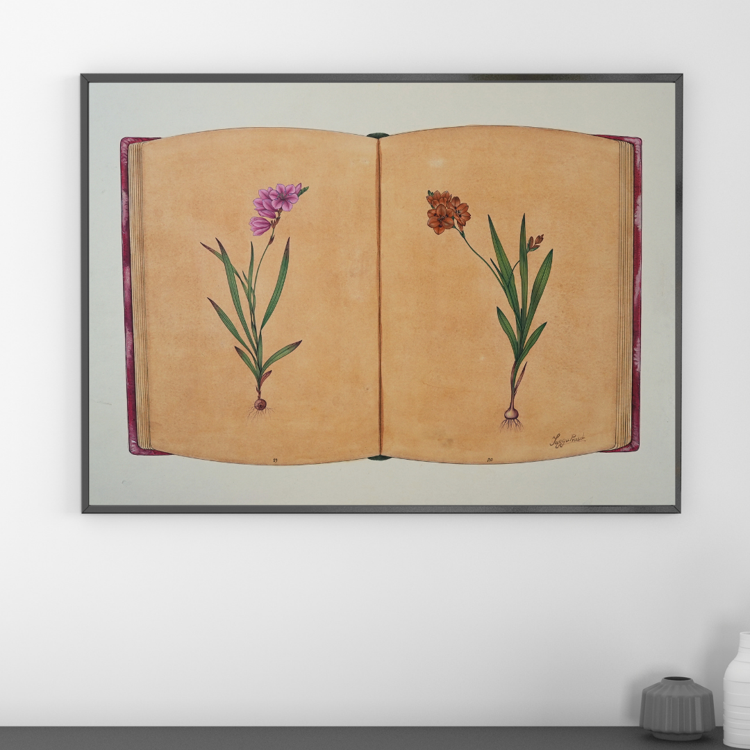 Botanical Ledgers 