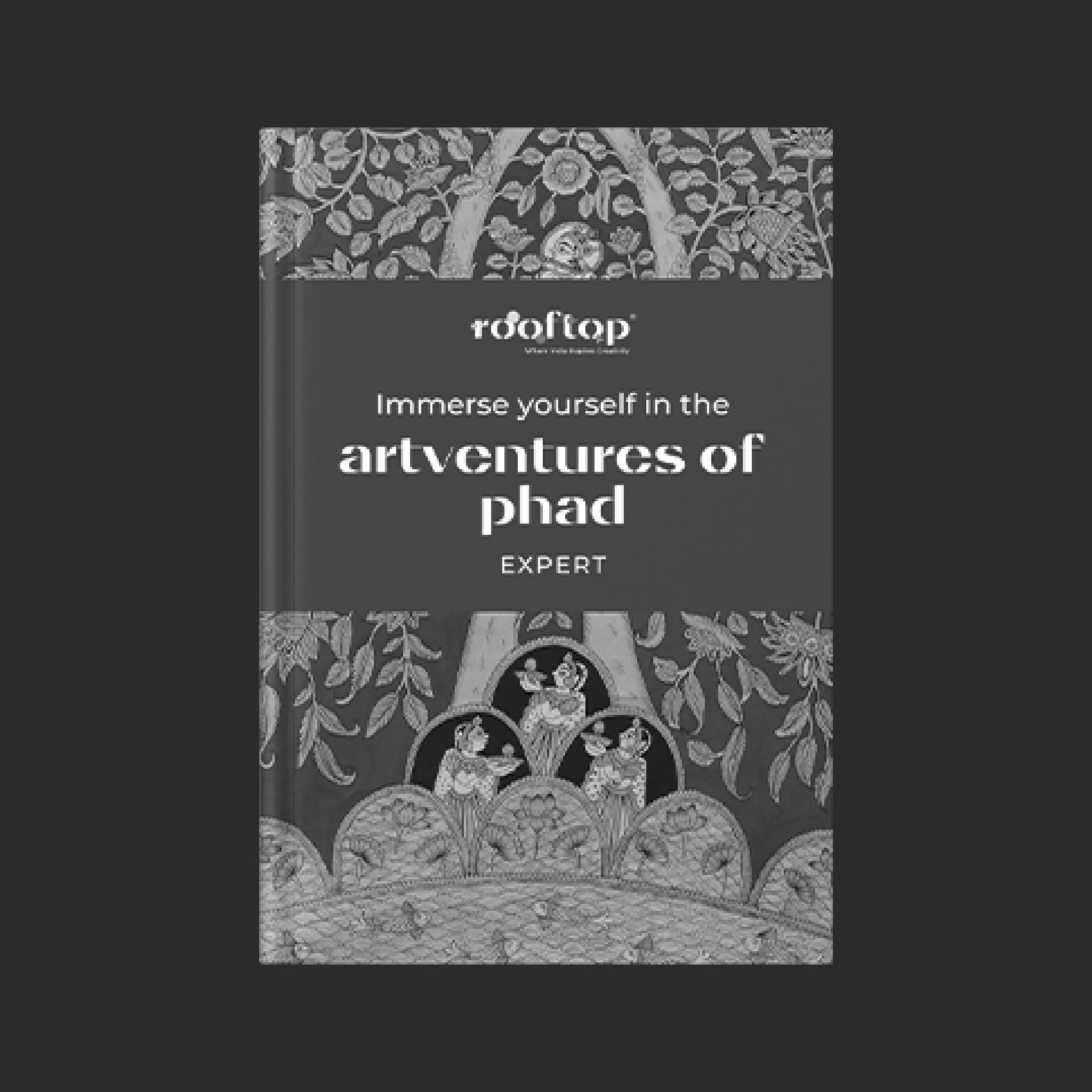 Artventures of Phad - Expert Product Image