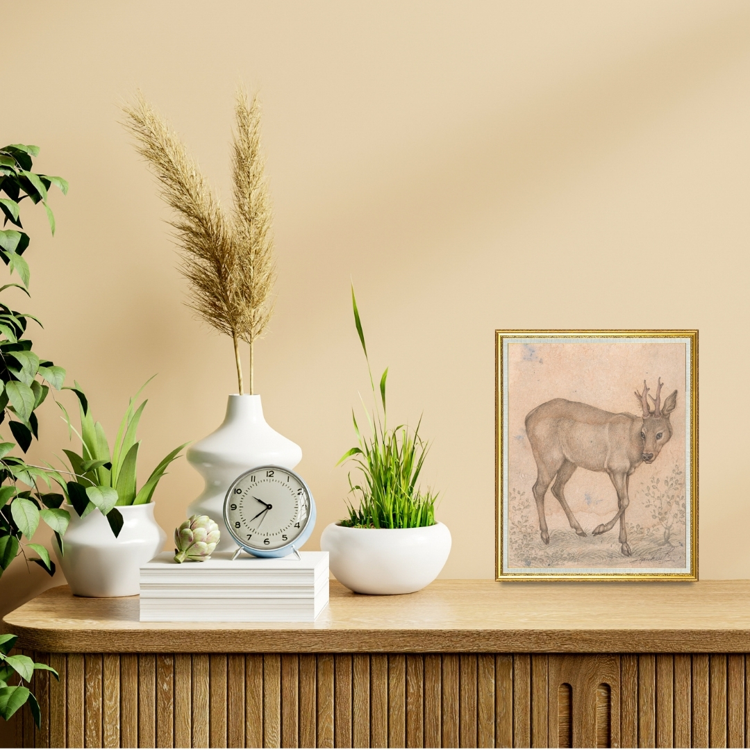 Quiet Steps of the Young Stag