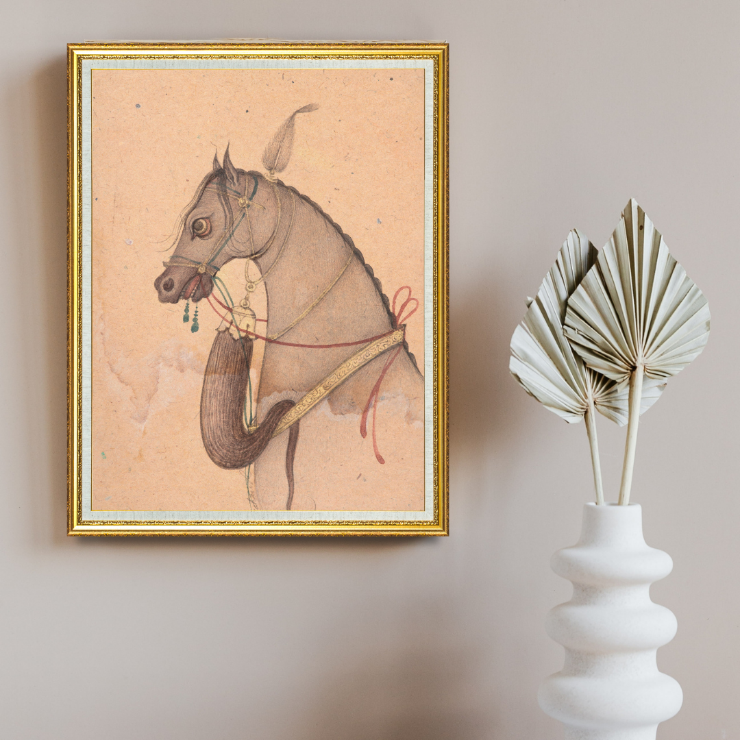 Profile of the Grey Steed