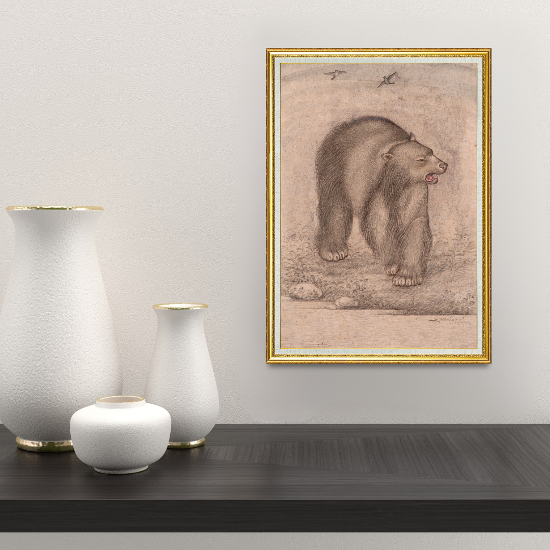 Quiet Roam of the Forest Bear